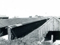 64954