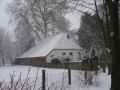 17536_P2080115