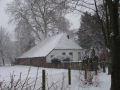 17536_P2080115